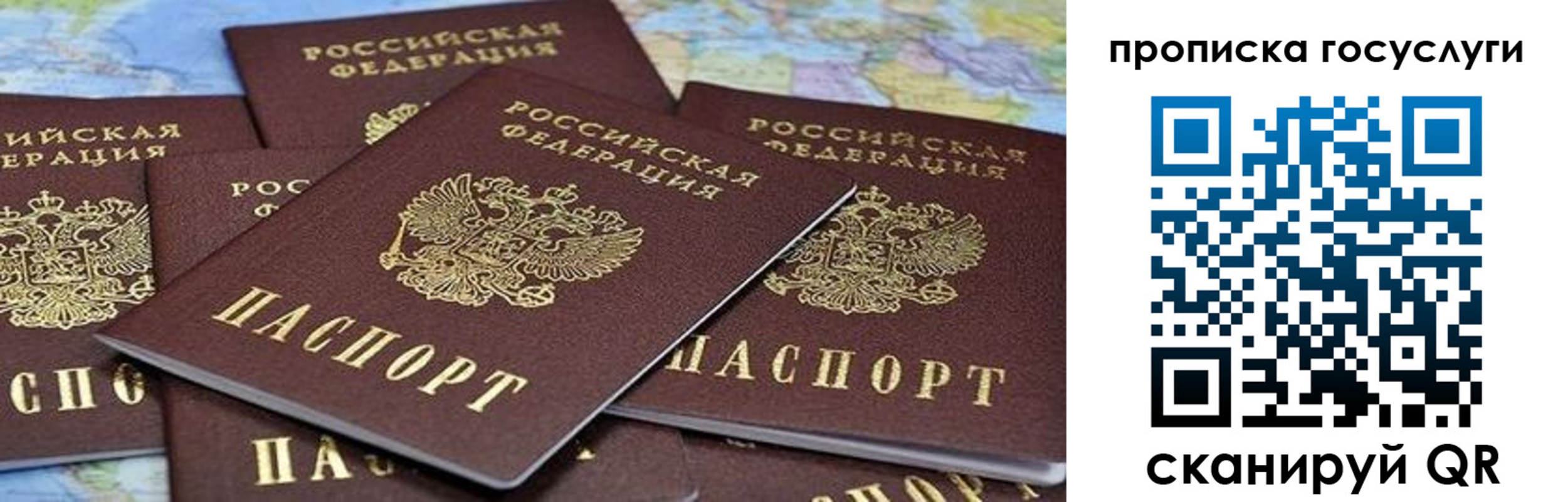 пропишу в квартире в Боре